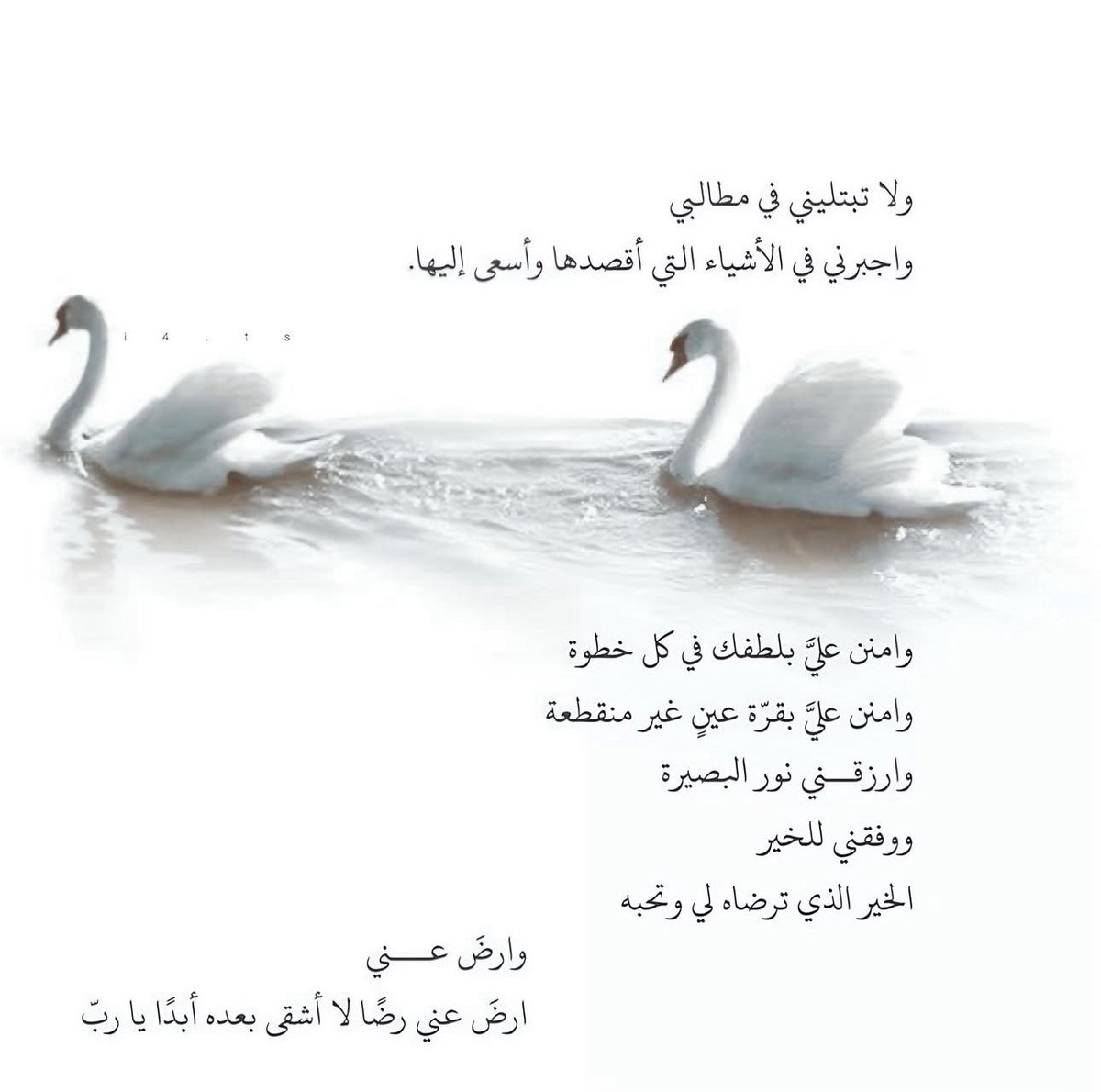 فــذكِّر (@thkkkrr_) on Twitter photo 