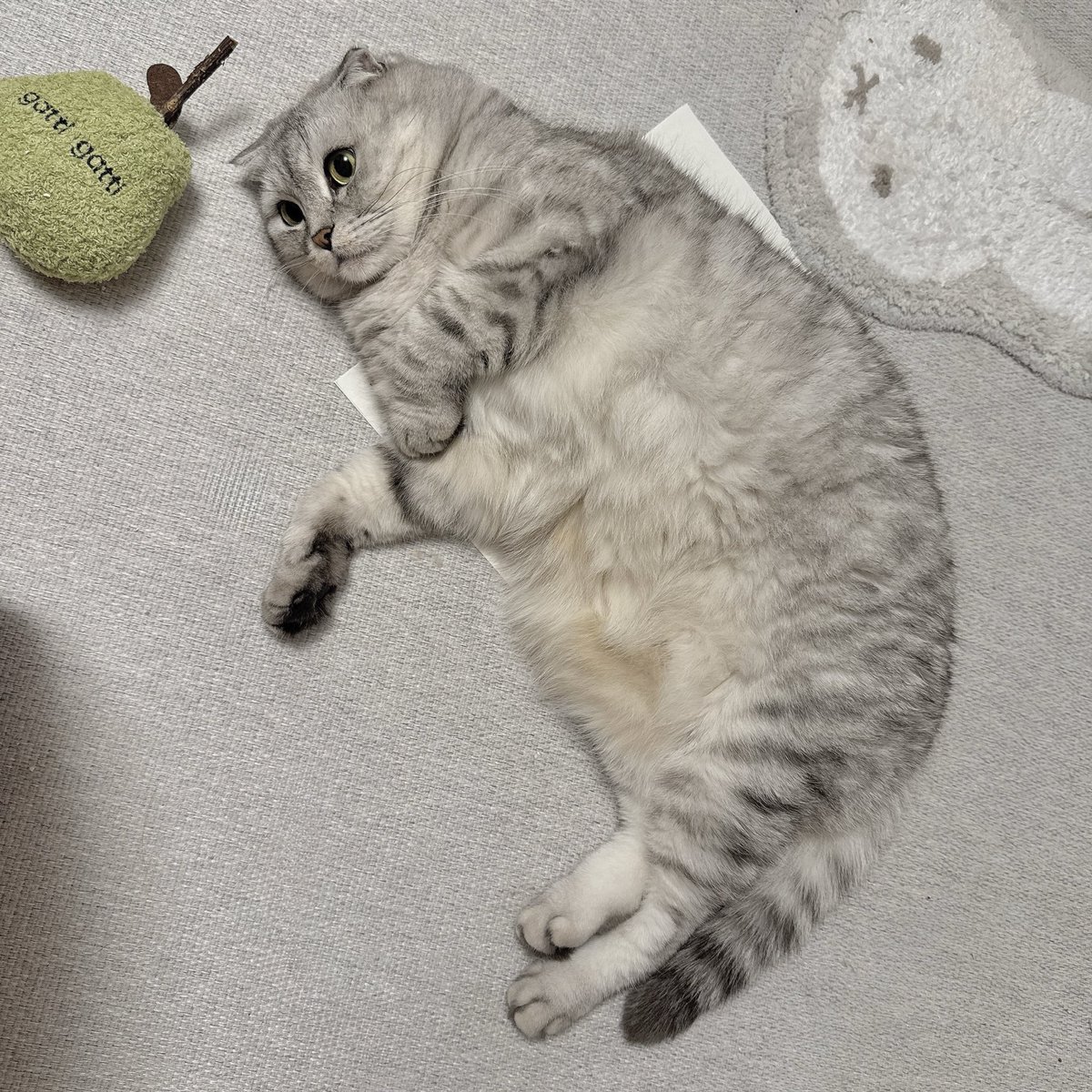 동북맘 tweet media