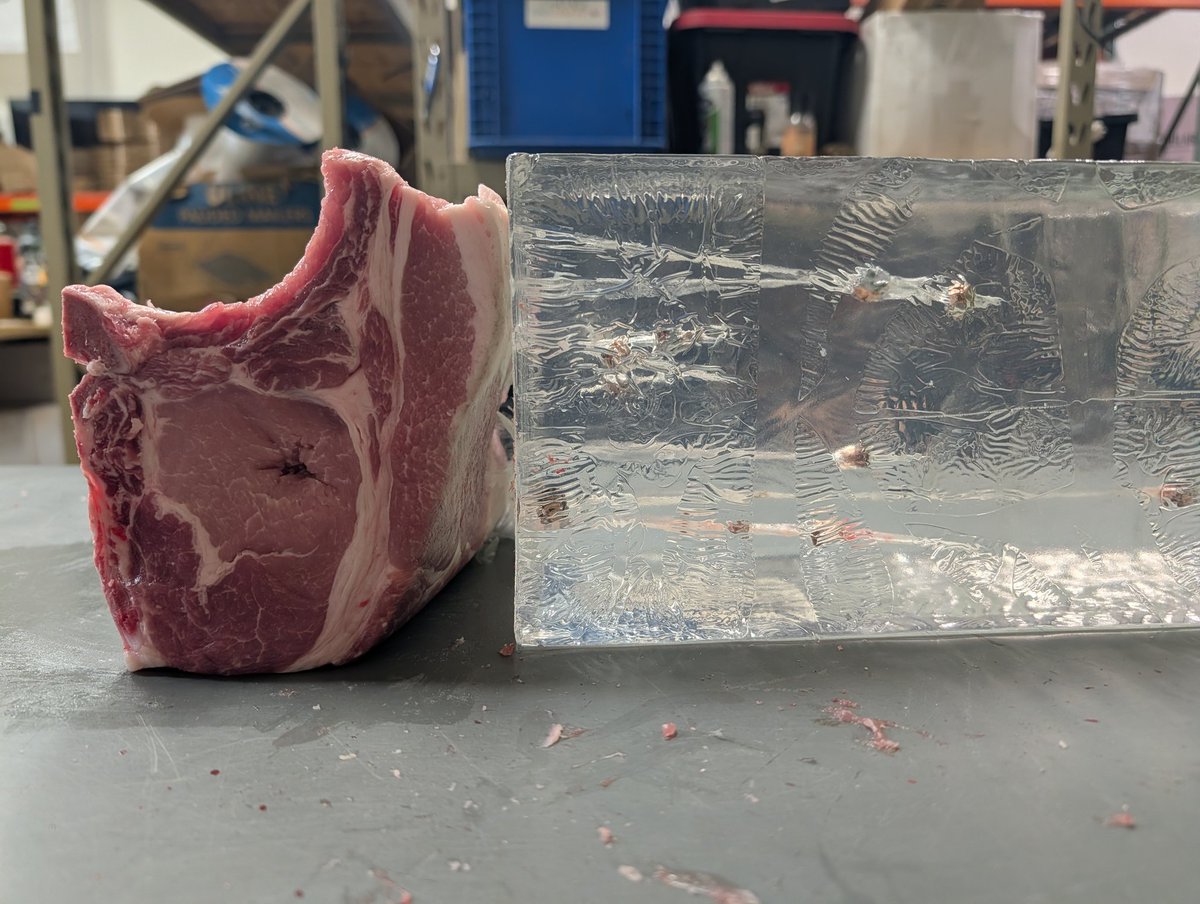 FenixAmmunition's tweet image. I just shot through this pork loin rack with a .380ACP 90gr hollowpoint.

15 times.  I arranged the rack in several different configurations to make sure I was hitting as much bone and flesh as possible.

None were stopped by the pork.

Some continued as far as 9" into the gel…