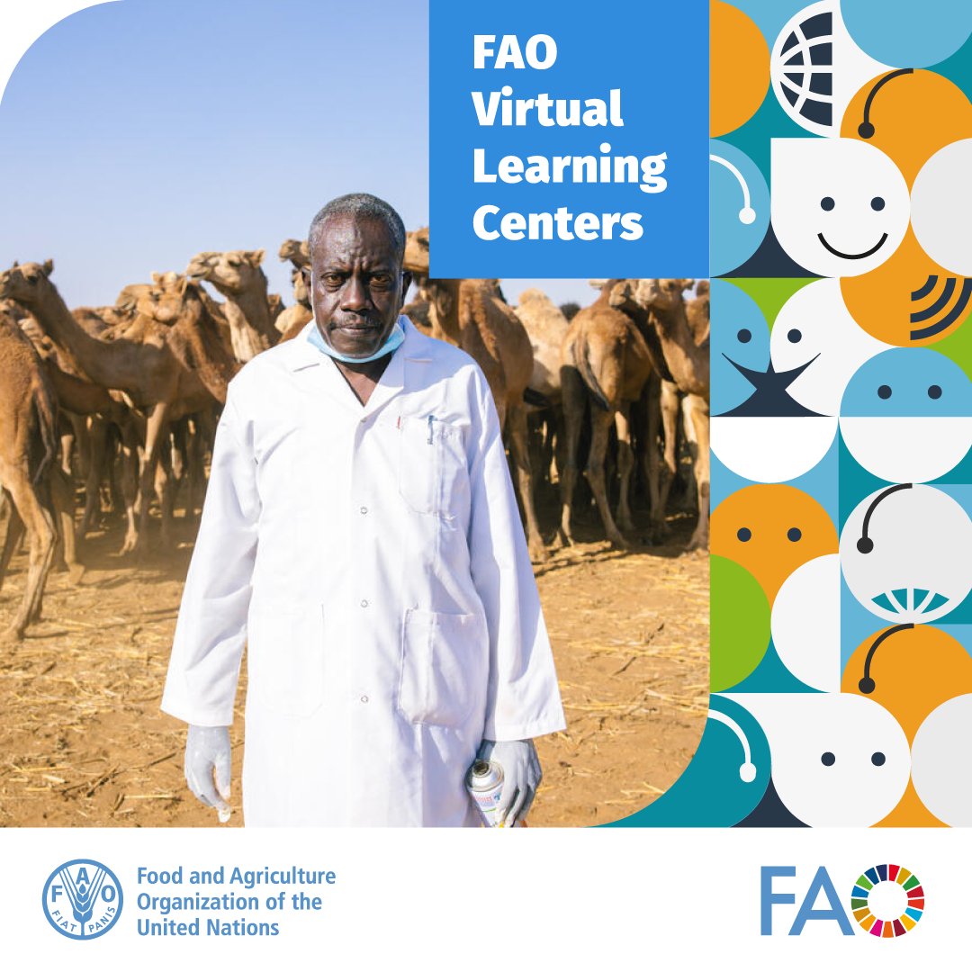 FAO Livestock tweet media