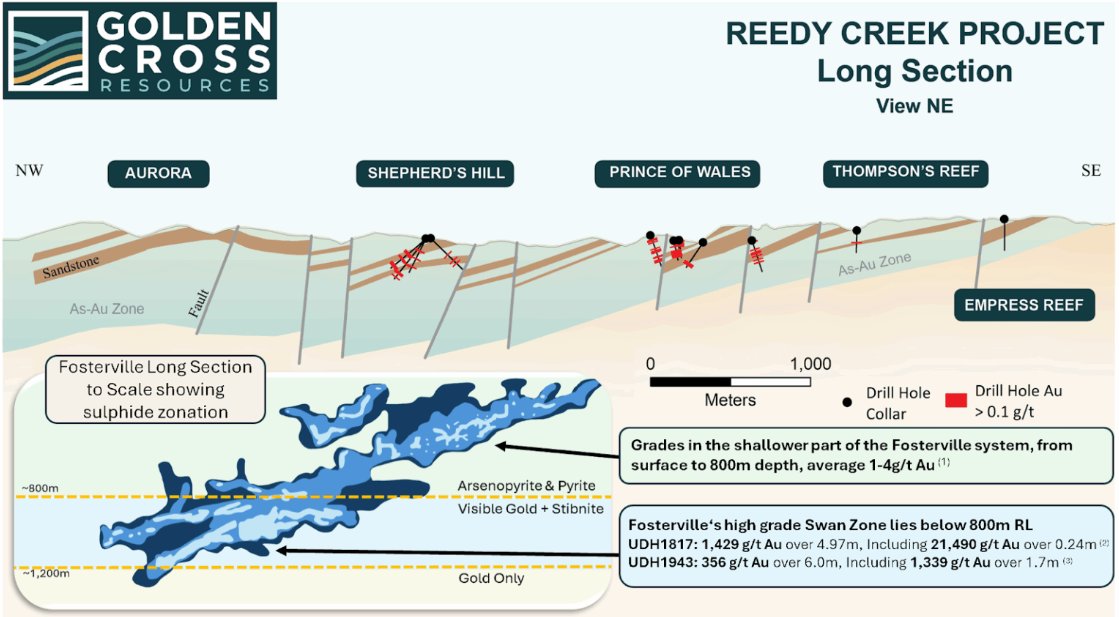 GoldenCrossAUX's tweet photo. “Every hole drilled to date has intersected #gold with well-developed arsenic halos, confirming that we are operating in the upper levels of a larger #orogenic gold system,” - @GoldenCrossAUX CEO Matt Roma on the Company's recently reported results at Reedy Creek.
🔍 What this means:👇
➡️ In large, orogenic gold systems, early #drilling often encounters lower-grade mineralization with arsenic halos near surface, with grades and vein thickness improving at depth. The geological setting and emerging structural data at Reedy Creek are showing clear parallels to other large orogenic gold systems in the area, such as Fosterville and Costerfield, where early results helped vector drilling toward much stronger mineralization at depth.
📍 Why Aurora stands out
New structural data is pointing to the Aurora prospect, now emerging as the most compelling target to test for thicker, higher-grade veins at depth ("testing the ladder"). Importantly, Aurora has never been drill tested, despite being a historically significant target.
➡️ Maiden drilling is now underway at Aurora, marking the first true test for thicker, higher-grade gold at depth.
👉 More here: https://t.co/gn9mHwc9cD
#Mining #Australia #Stocks #TSXV $AUX.V #OTCQB $ZCRMF
