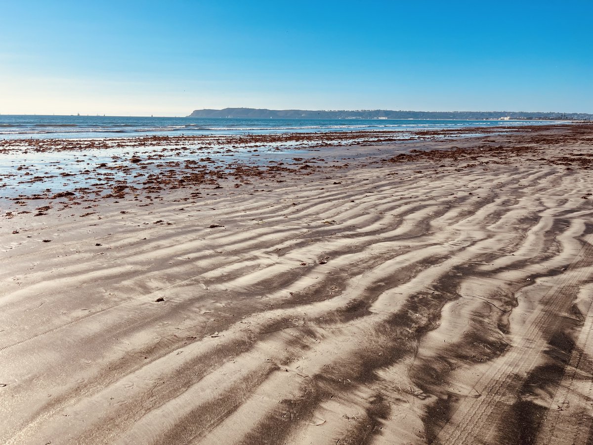 Shahaf Bassan tweet media