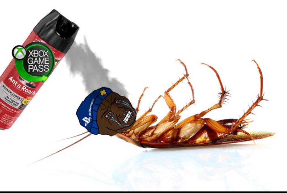 What a Super Special kind of STUPID🤣. Perhaps you had some bad experiences  when you were younger. SEEK HELP SON...🤣, image size:1200x806