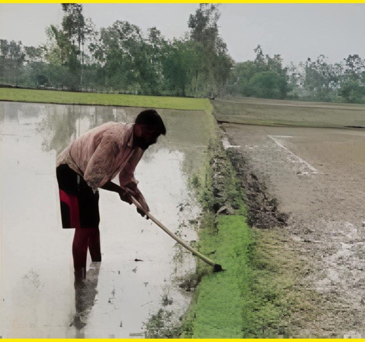 वकीलों की रोजी रोटी का इंतजाम करता एक आम किसान...see more