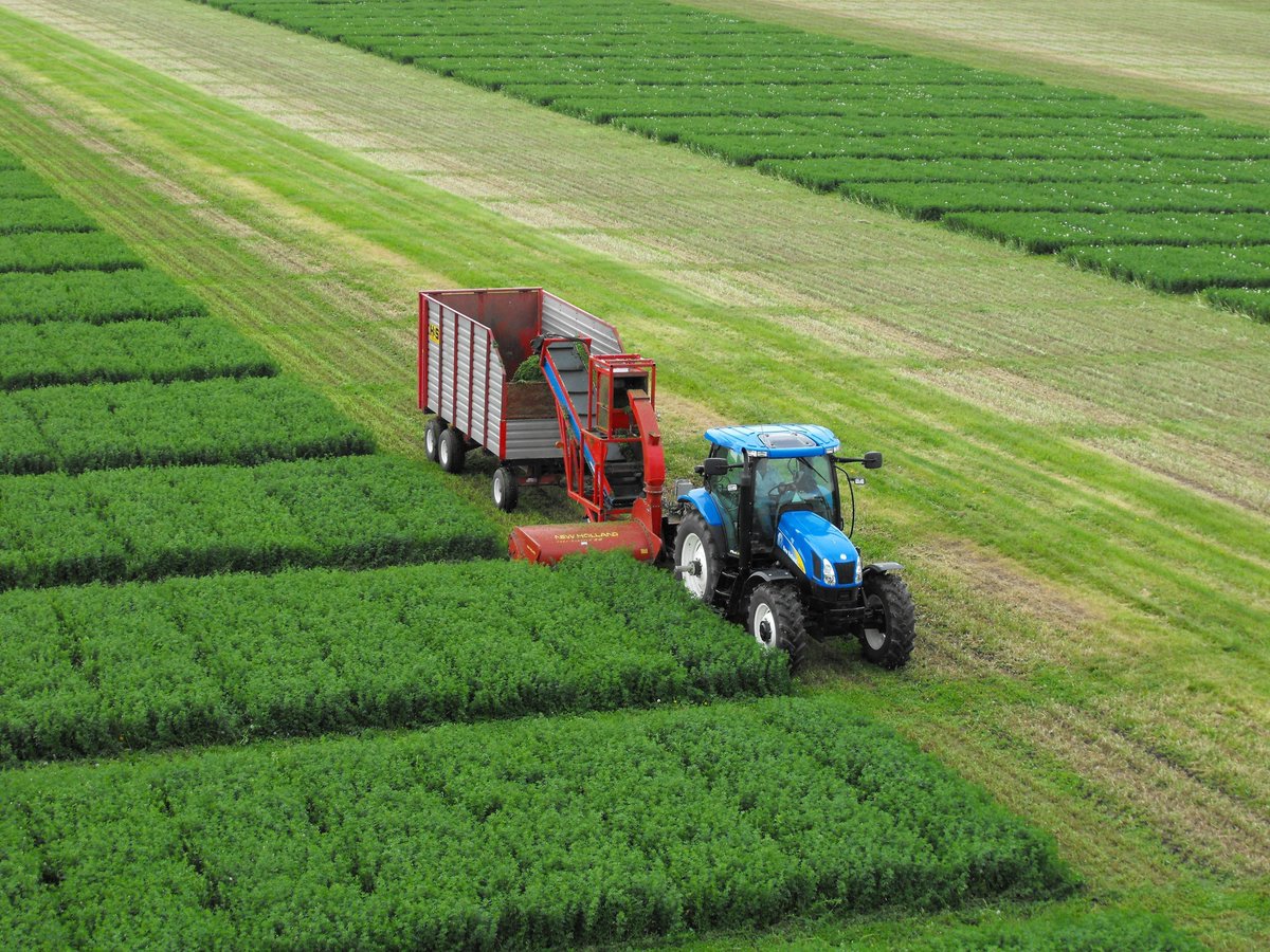 DLF Canada tweet media