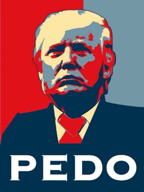 taradublinrocks's tweet image. The truth is you love a pedophile rapist more than America and you belong in prison with him and all of the other traitorous pedo enablers