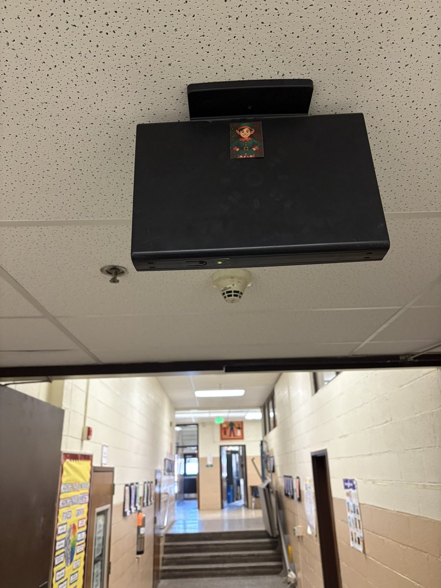 Carly Berry tweet media