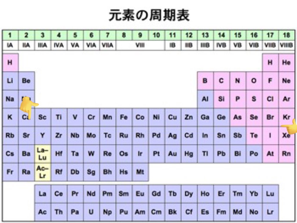 スカンク千葉のクマ「徹子にどう会える？」ガリガリギャル焦ってシュークリーム