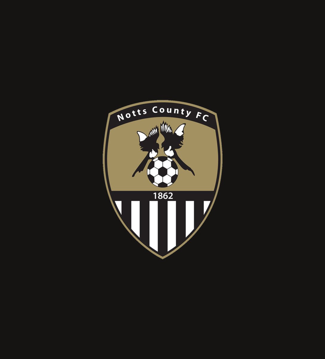 RyzenNotts⏭️ tweet media