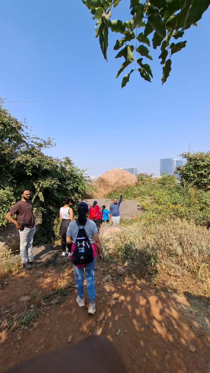 Society to Save Rocks tweet media