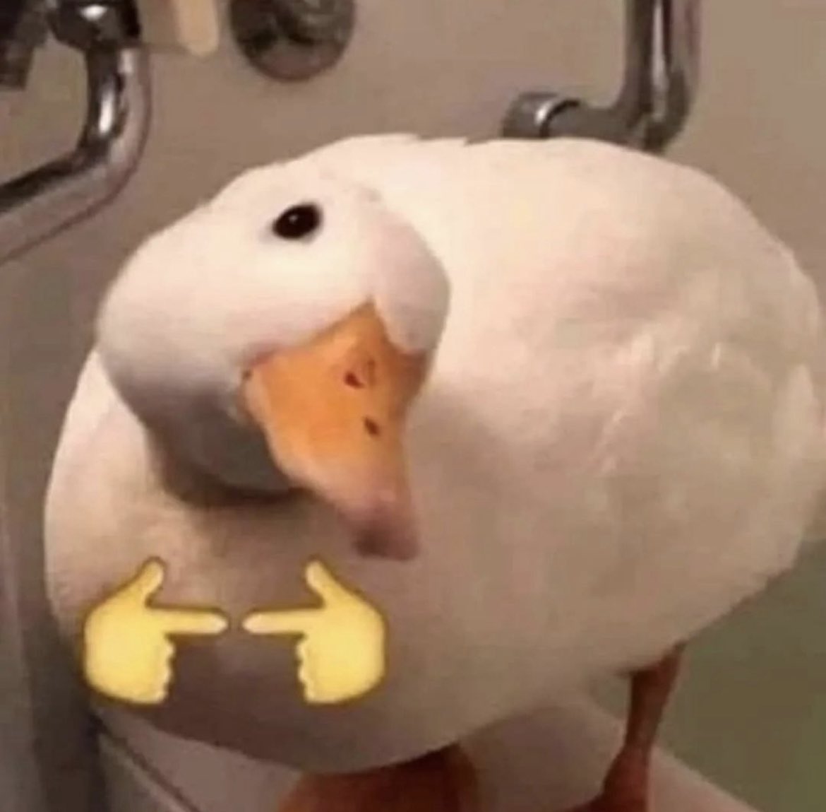 와와🥝 tweet media