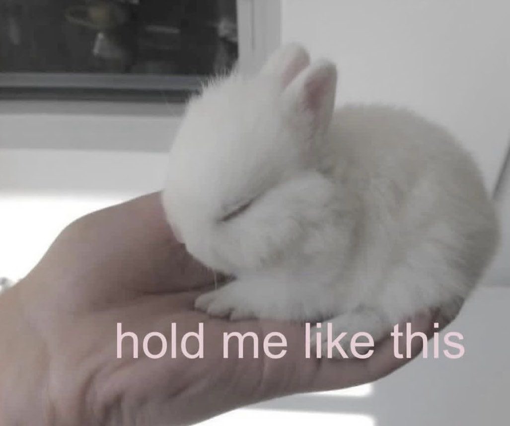 women are so complicated !?
what they want: