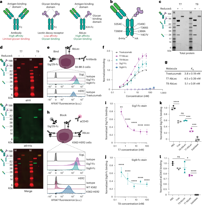 Nature Biotechnology tweet media