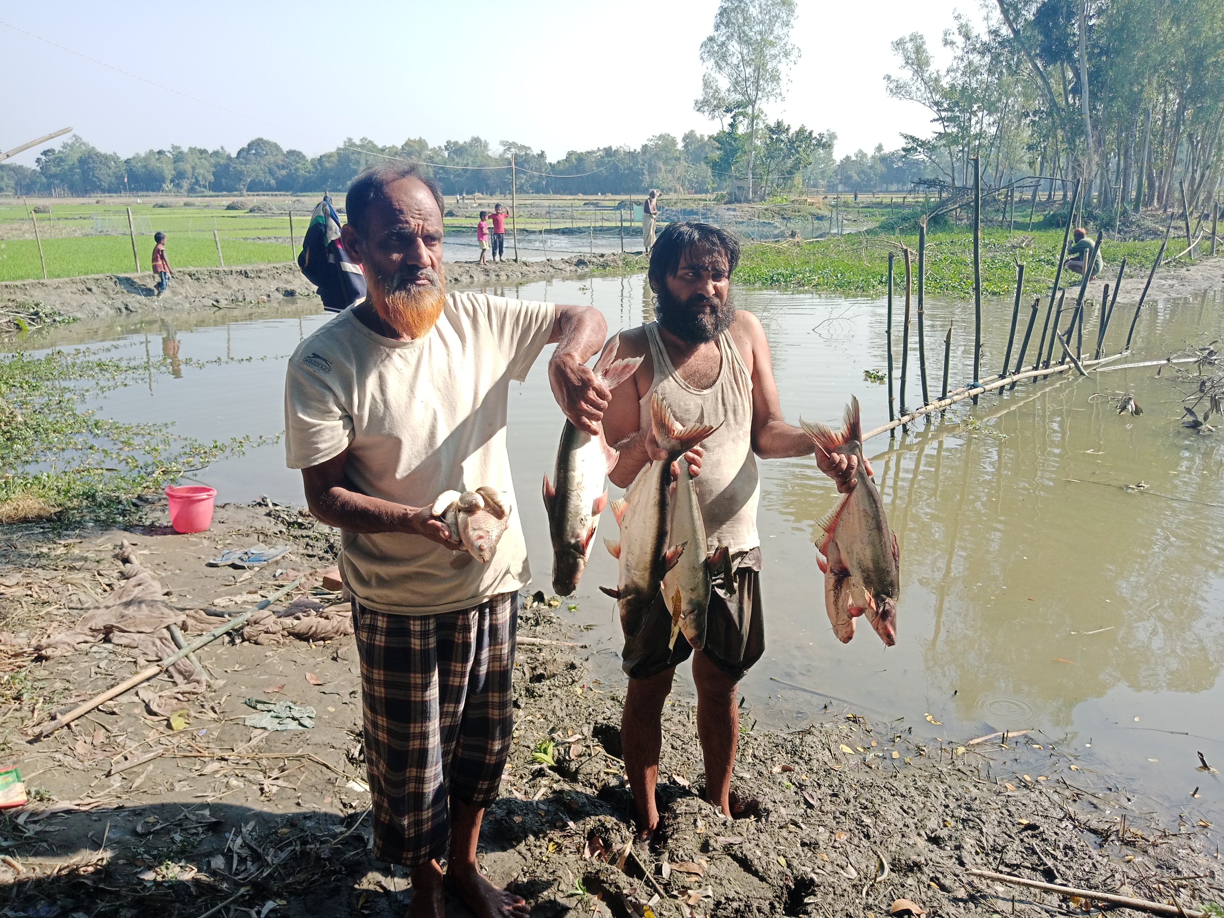 সরিষাবাড়ীতে মাছ চাষ করা বিলে বিষ প্রয়োগ: ৩ লক্ষ টাকার ক্ষতি