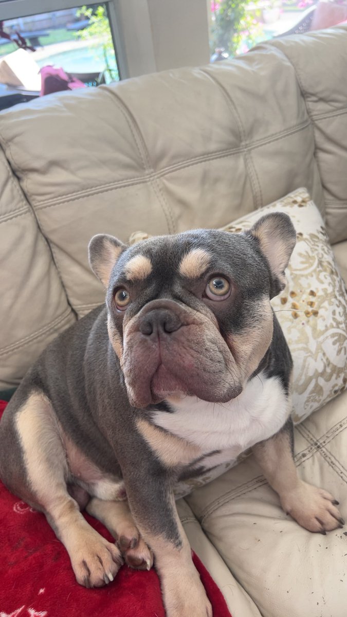 StadiumTrader tweet media