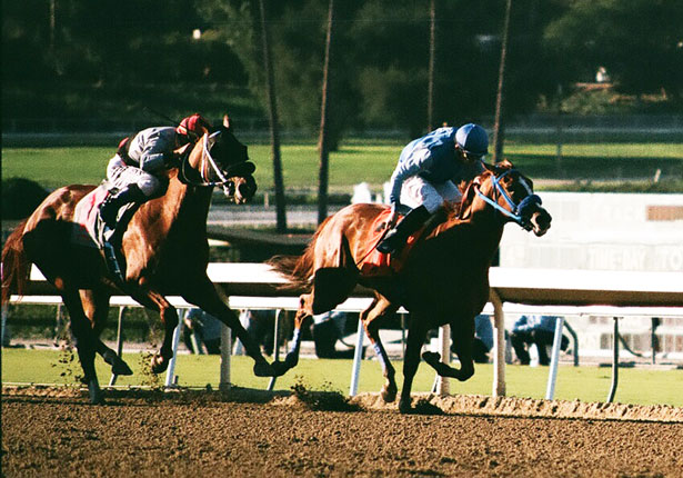 Reality Racing tweet media