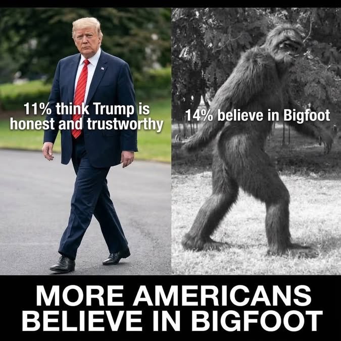 jfur76's tweet photo. https://t.co/0f0FW6tlu7