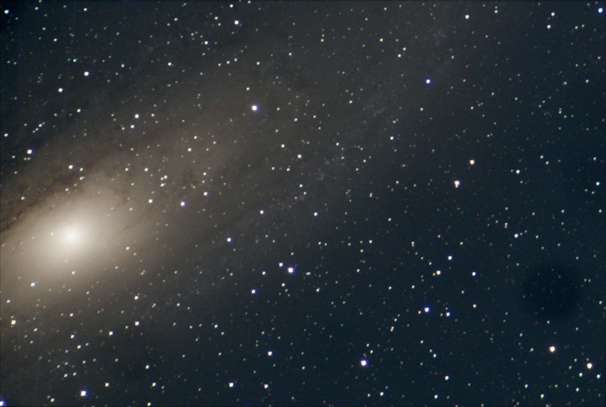 UIS Observatory tweet media