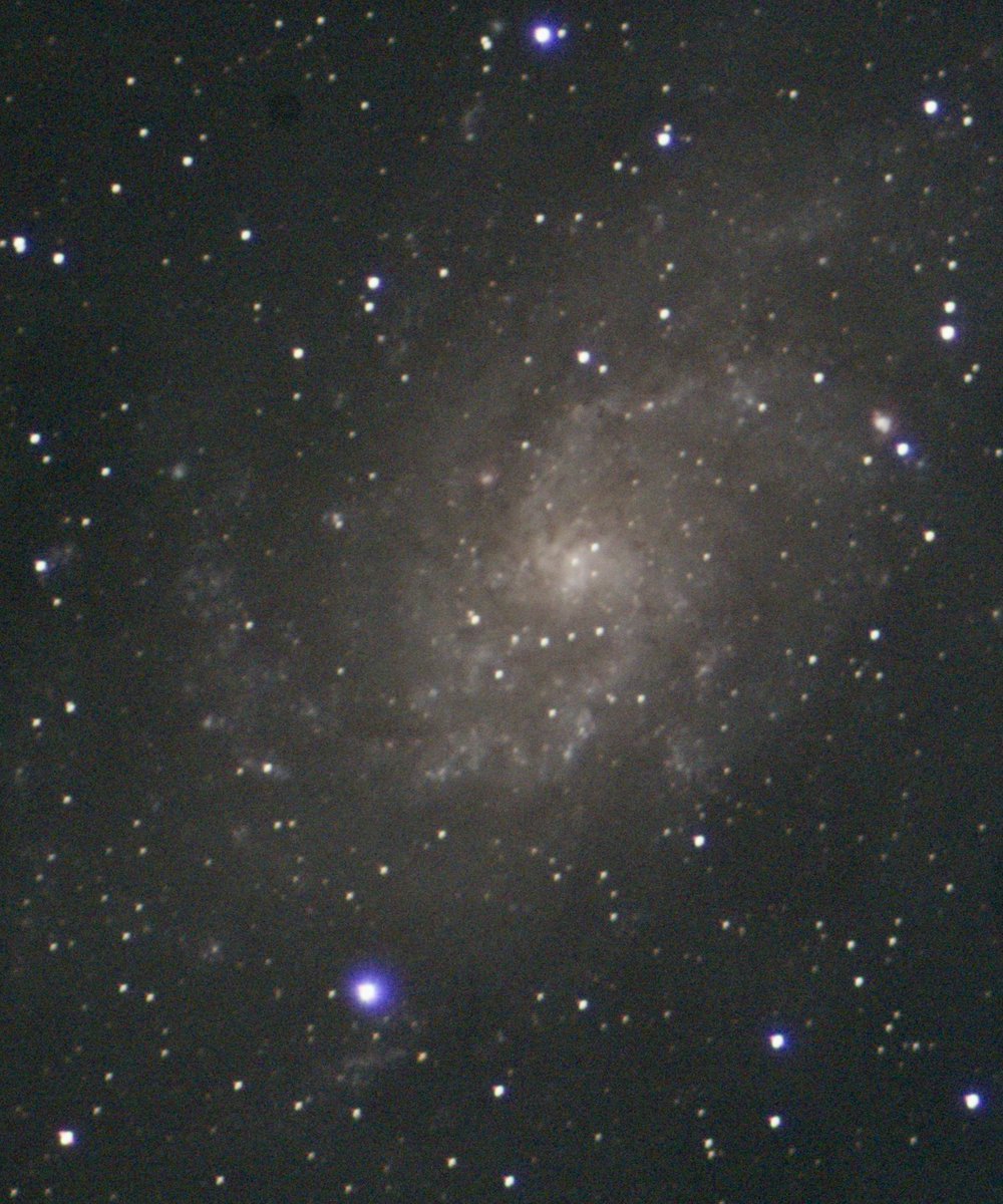 UIS Observatory tweet media