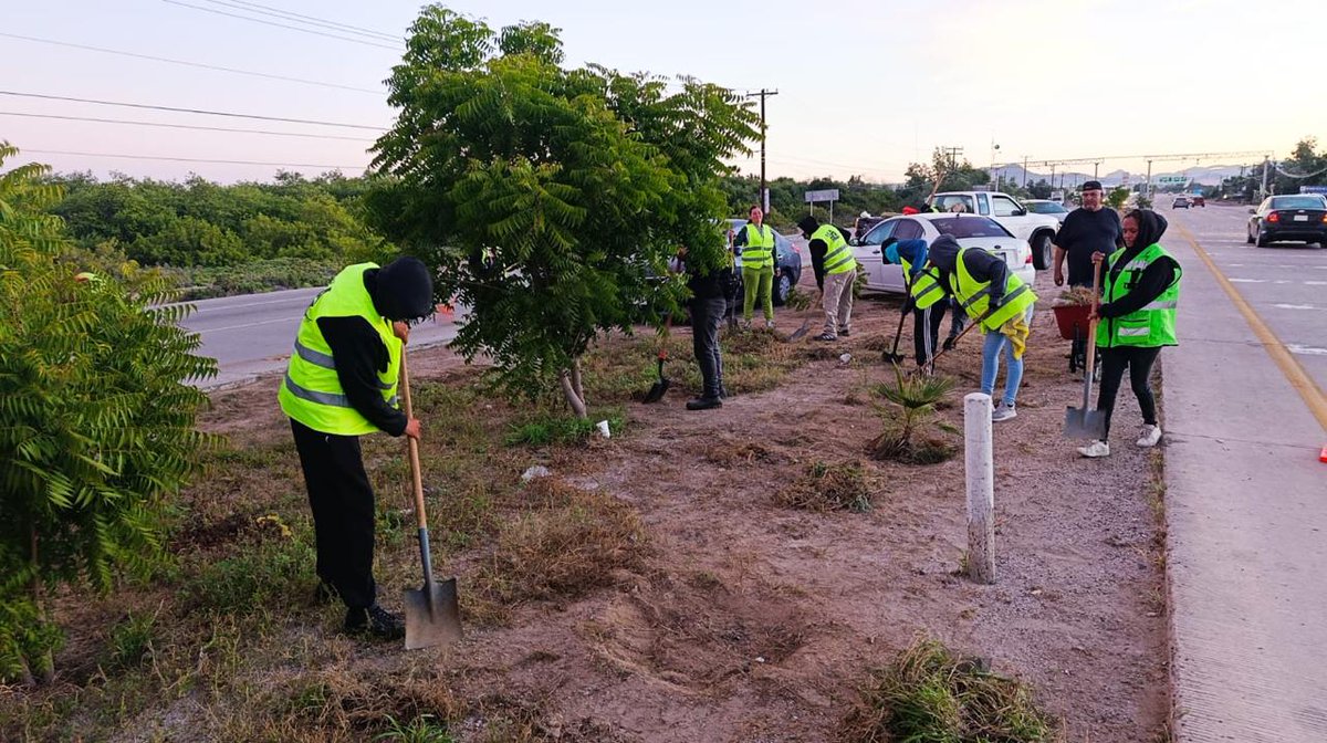 quirogamilena_'s tweet image. El equipo de empleo temporal continúa con labores de limpieza y deshierbe sobre la carretera hacia el aeropuerto, circulen con precaución por la zona. #EsLaPaz