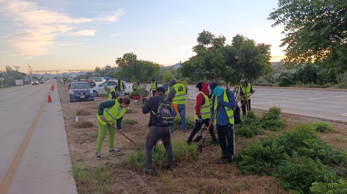 quirogamilena_'s tweet image. El equipo de empleo temporal continúa con labores de limpieza y deshierbe sobre la carretera hacia el aeropuerto, circulen con precaución por la zona. #EsLaPaz