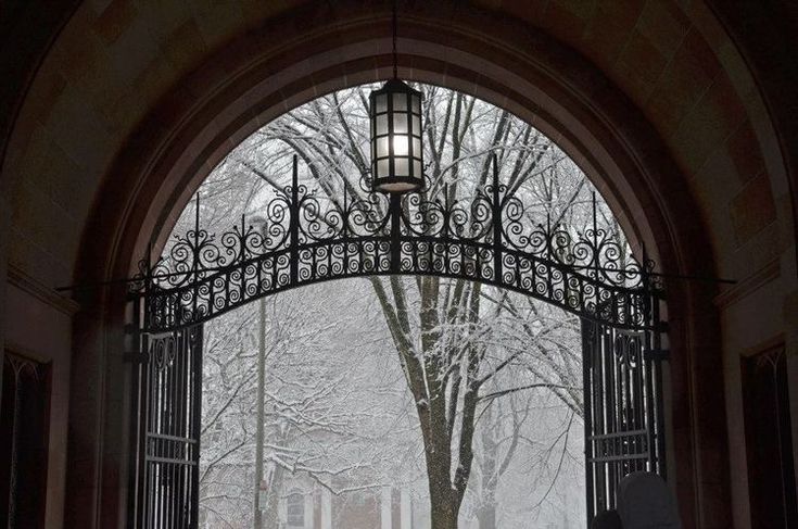 AcademiaDreams's tweet image. 