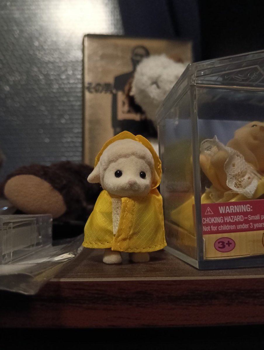 シルバニアパーク雨の日来場特典のレインコートがかなり良いです！