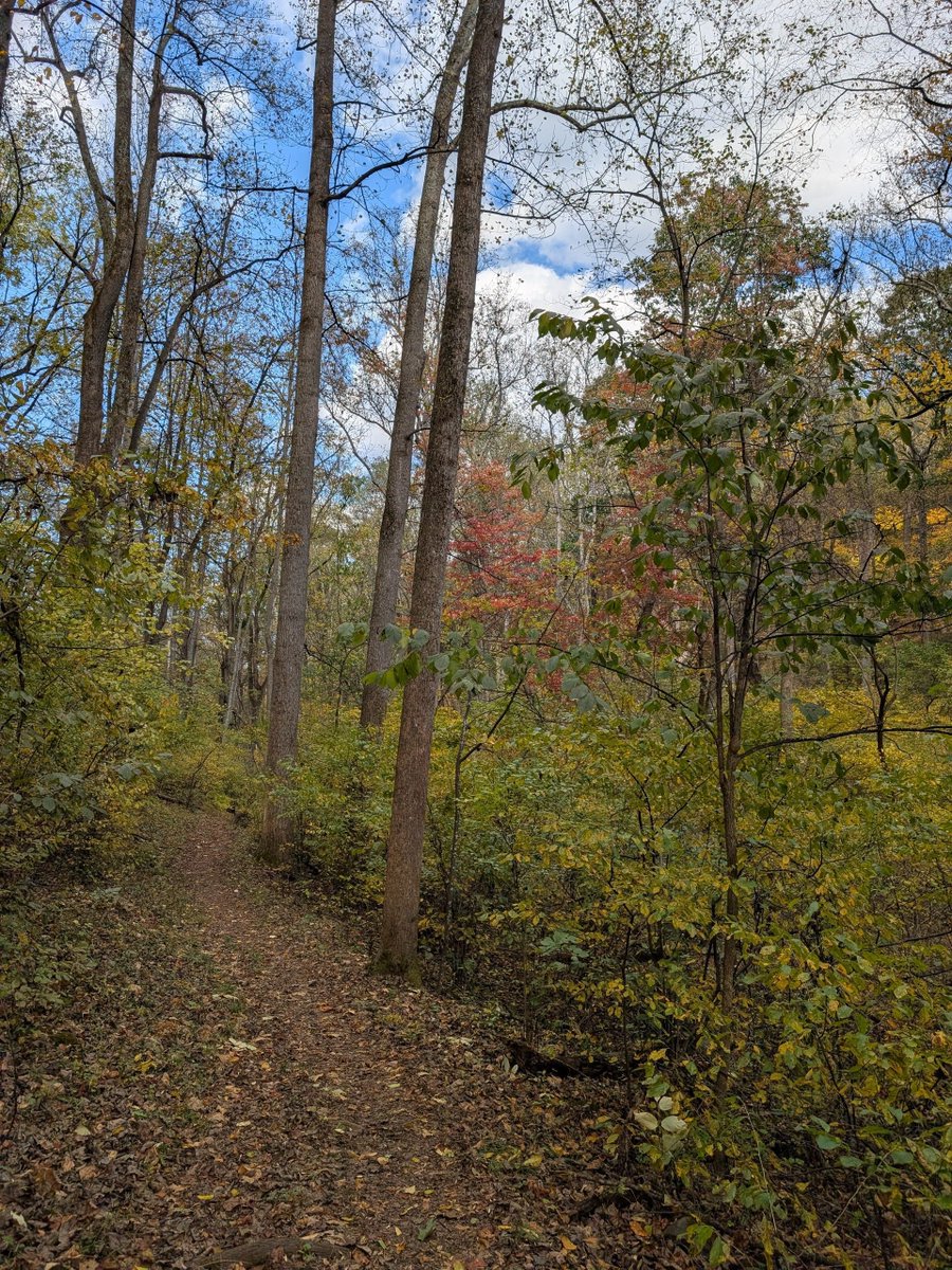 The Journey to Patience 12/16/25 – Hike 10/20/25

A walk in Nature helps restore one’s balance so patience is possible.

In life, challenges abound. I gained insight, help and understanding reading the New Message. Questions about life, the universe and these strange times?