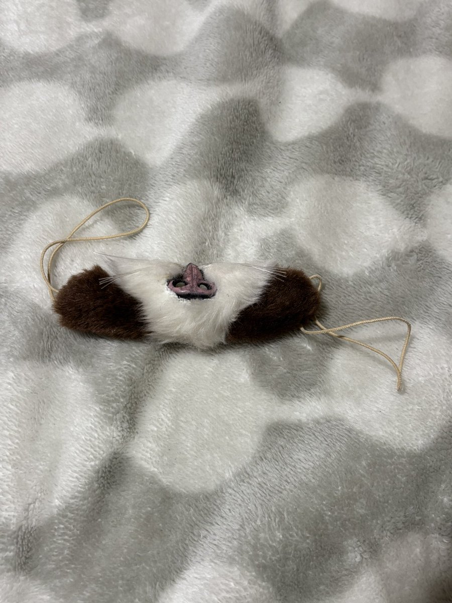 鯖江のやつだっけ。おめでとうございます🎊