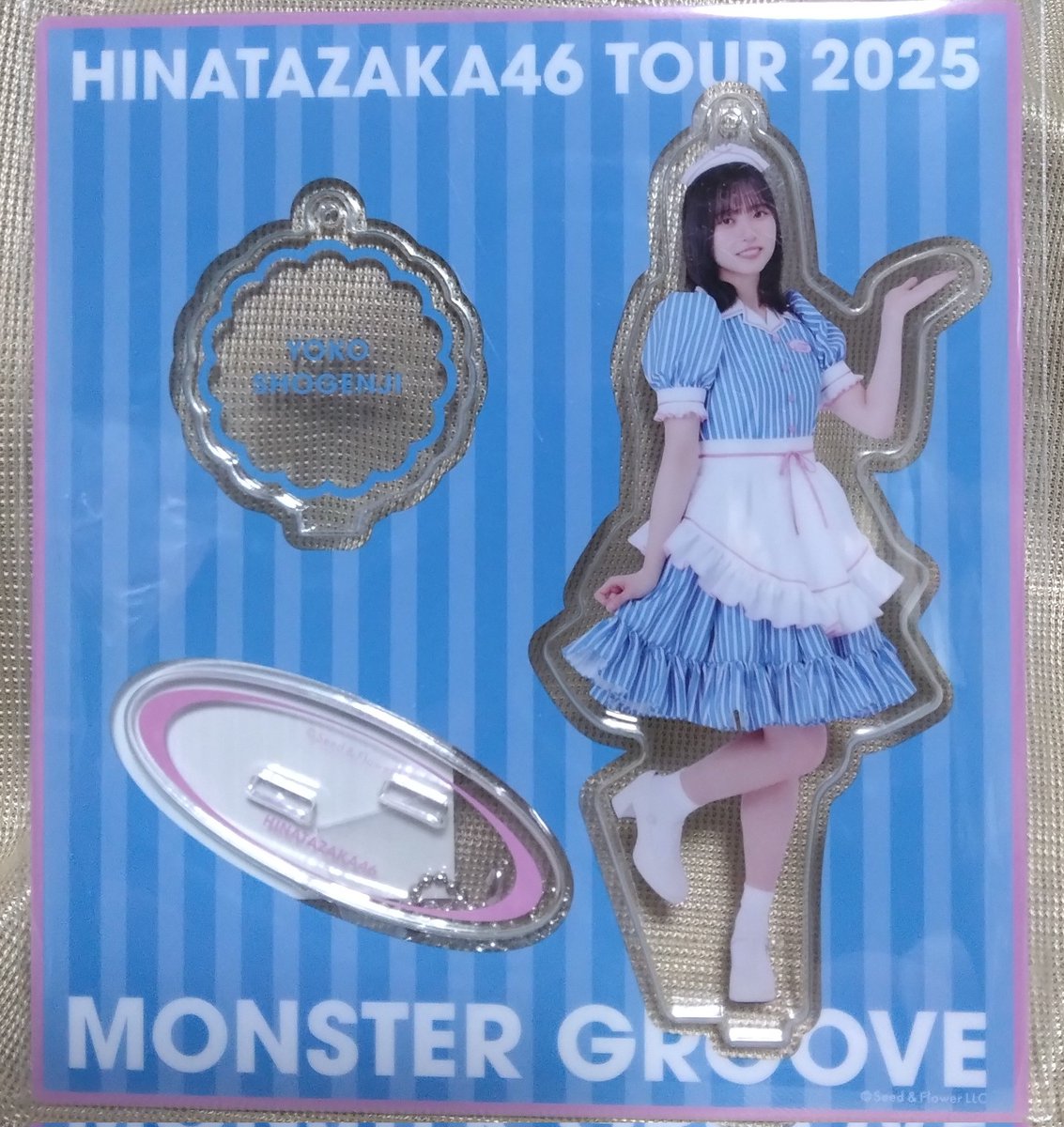 先日購入した『日向坂46 正源司陽子 アクリルスタンドキーホルダー × 2