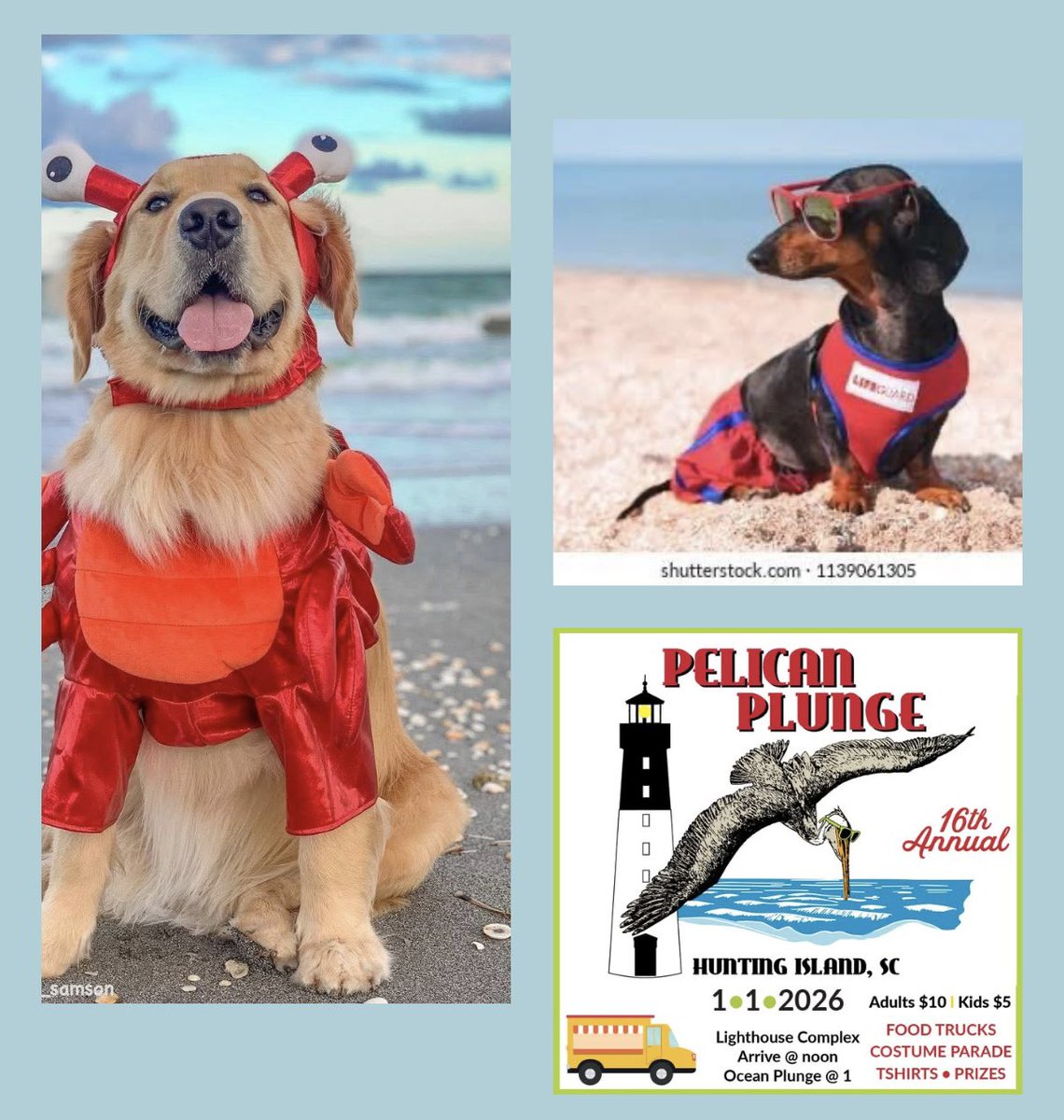 Pelican Plunge 2026 is for the dogs!

Dress your 4 legged bestie for the Costume Parade 😻🐶

New category added! 
Best PET Costume🏅

Get TIX here 

friendsofhuntingisland.org/pelican
