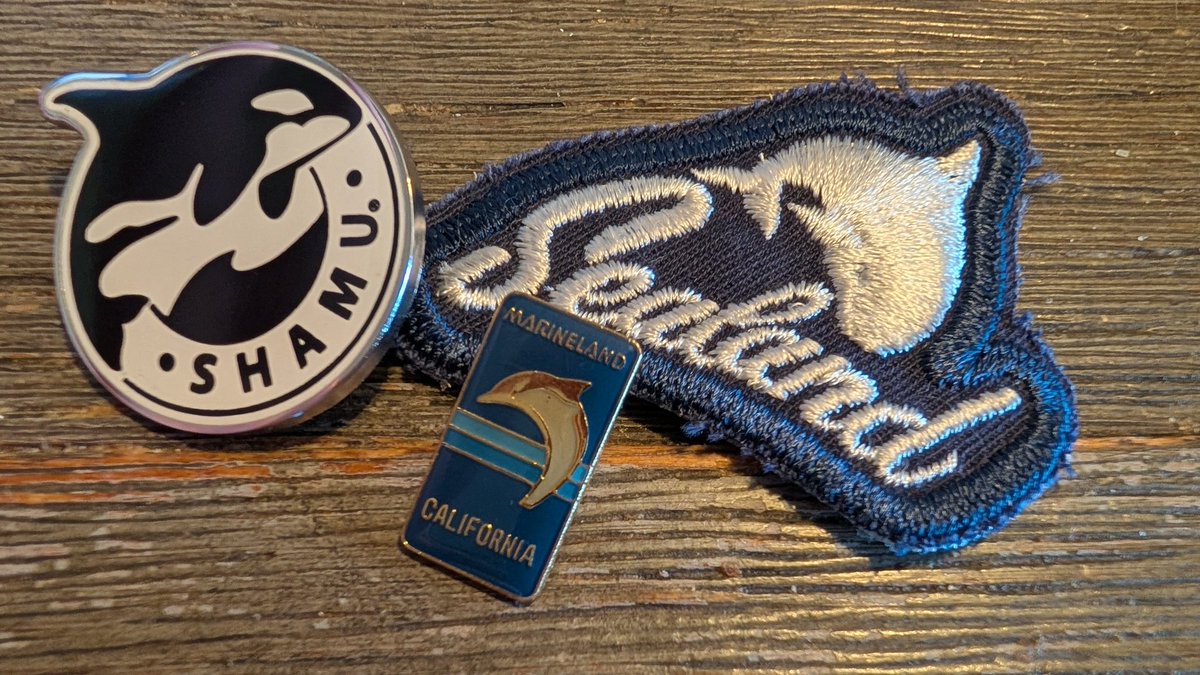 CompleteBedlam's tweet image. Mail day!