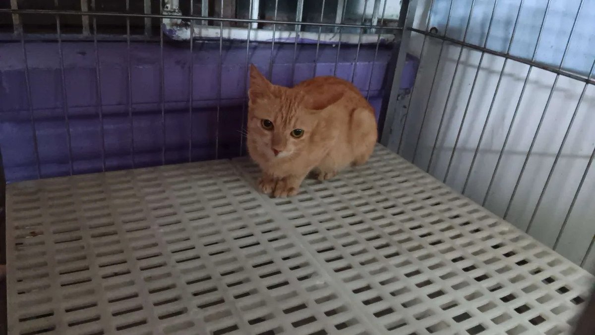 millions coochies tweet media