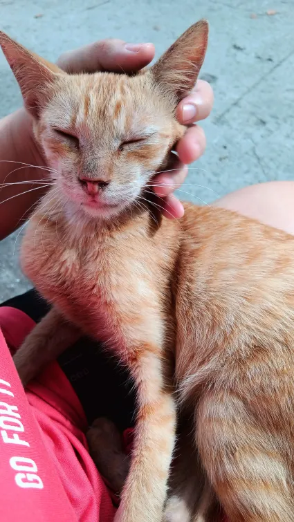 millions coochies tweet media