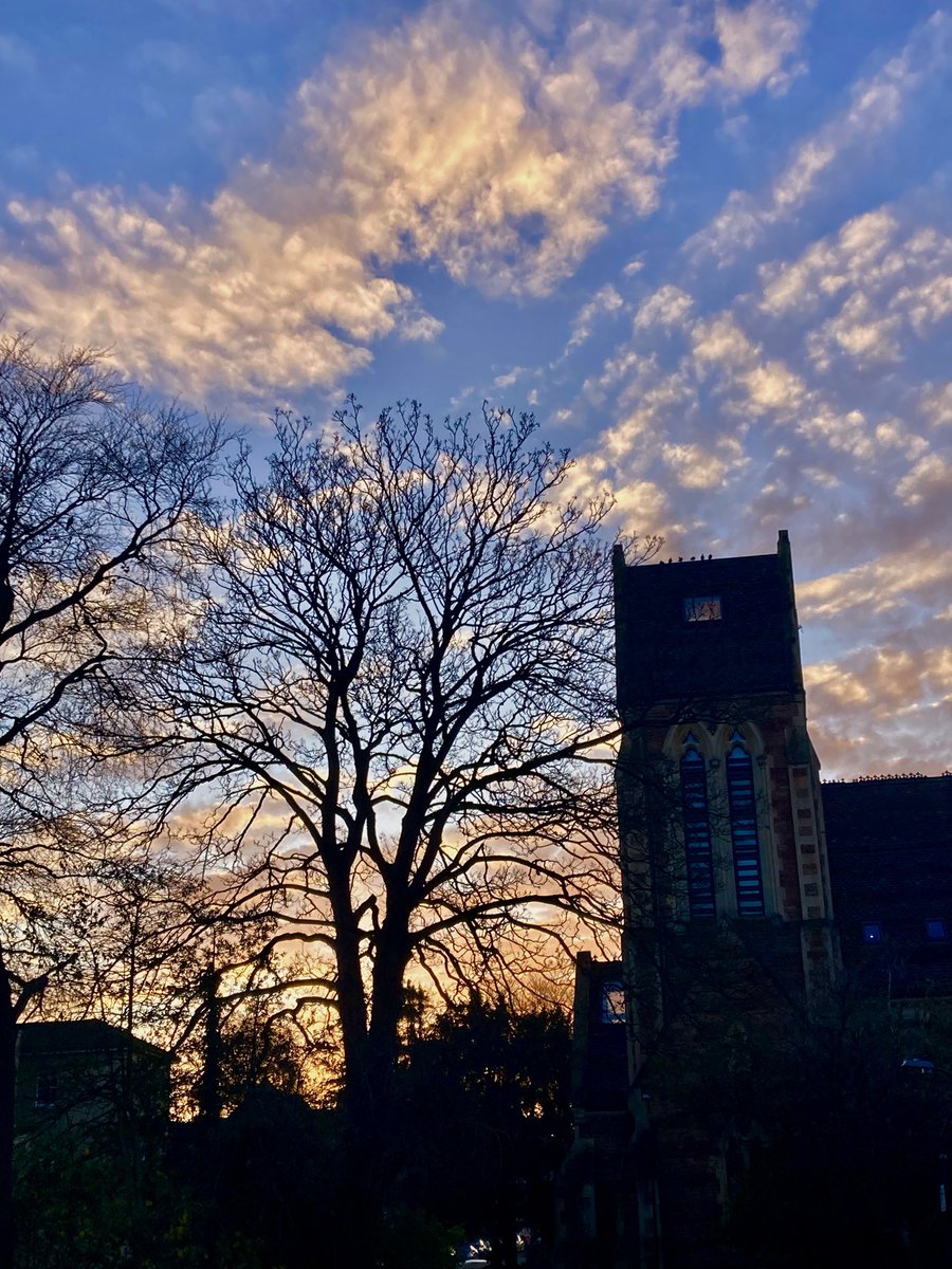 Martin Evans tweet media