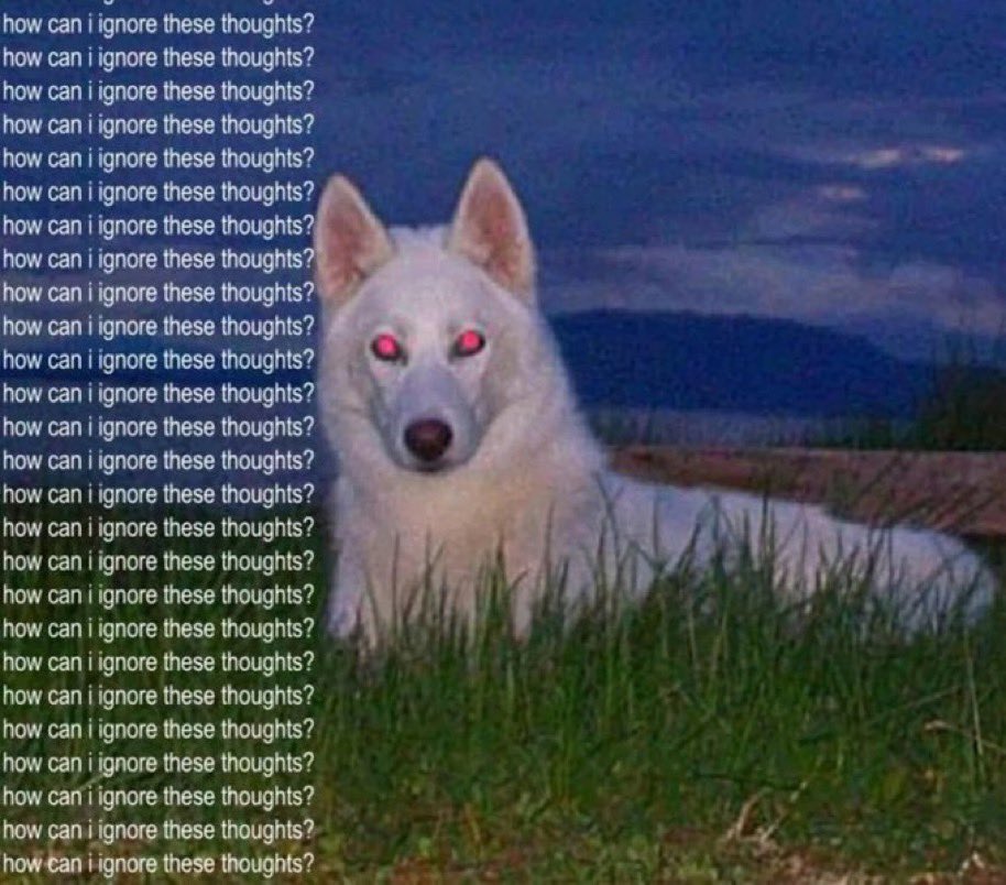 horrorsthetics's tweet image. 