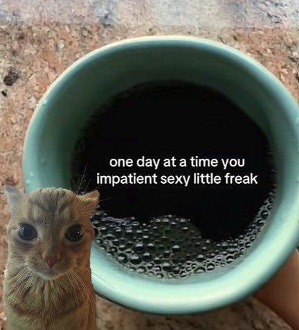 GaK (@gakstercat) on Twitter photo 