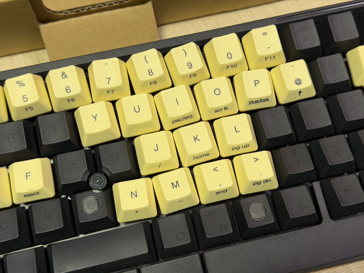 きー坊 キー坊沼 キキ (@keyboarder_one) / Posts / X