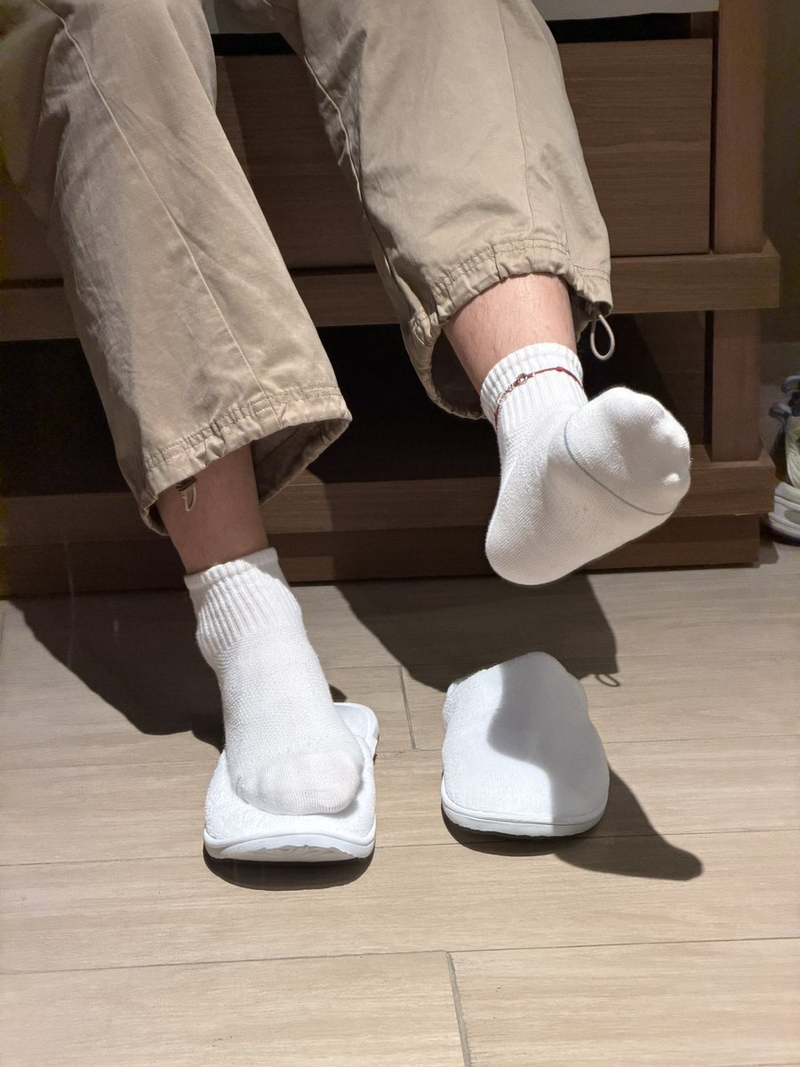 快要给毛打dtd了嘿嘿，福禄小狗1.0马上要诞生啦w