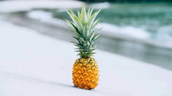 holy fucking shit #fruittwt