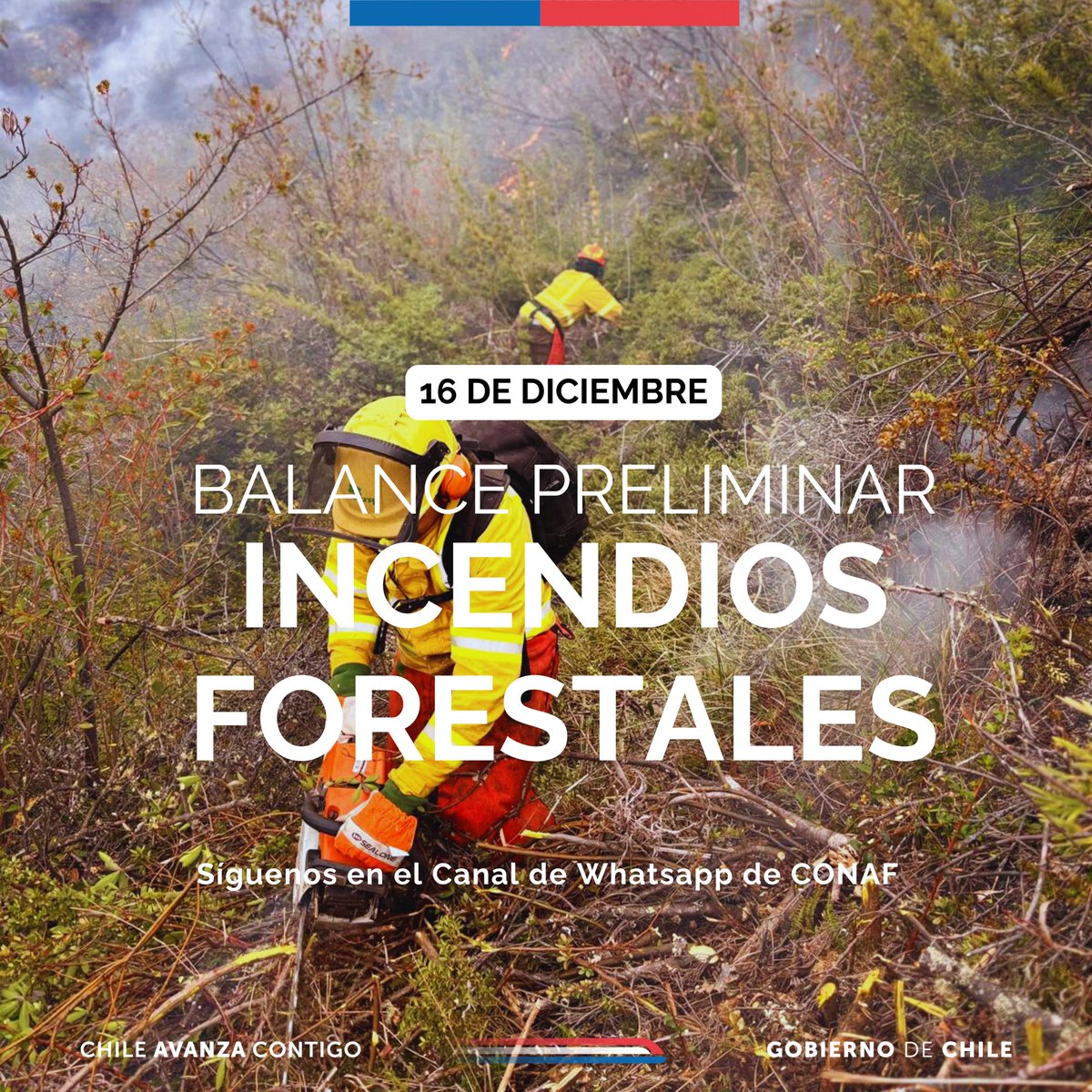 🔴#BALANCE | Hasta las 13:00 horas | La situación de los principales incendios forestales que se combaten al momento, en el país, es el siguiente: 

▶️Región de Valparaíso. Incendio Bucalemito, en Santo Domingo: con 5 hectáreas afectadas.
📌Trabajan en el lugar: 1 técnico, 7
