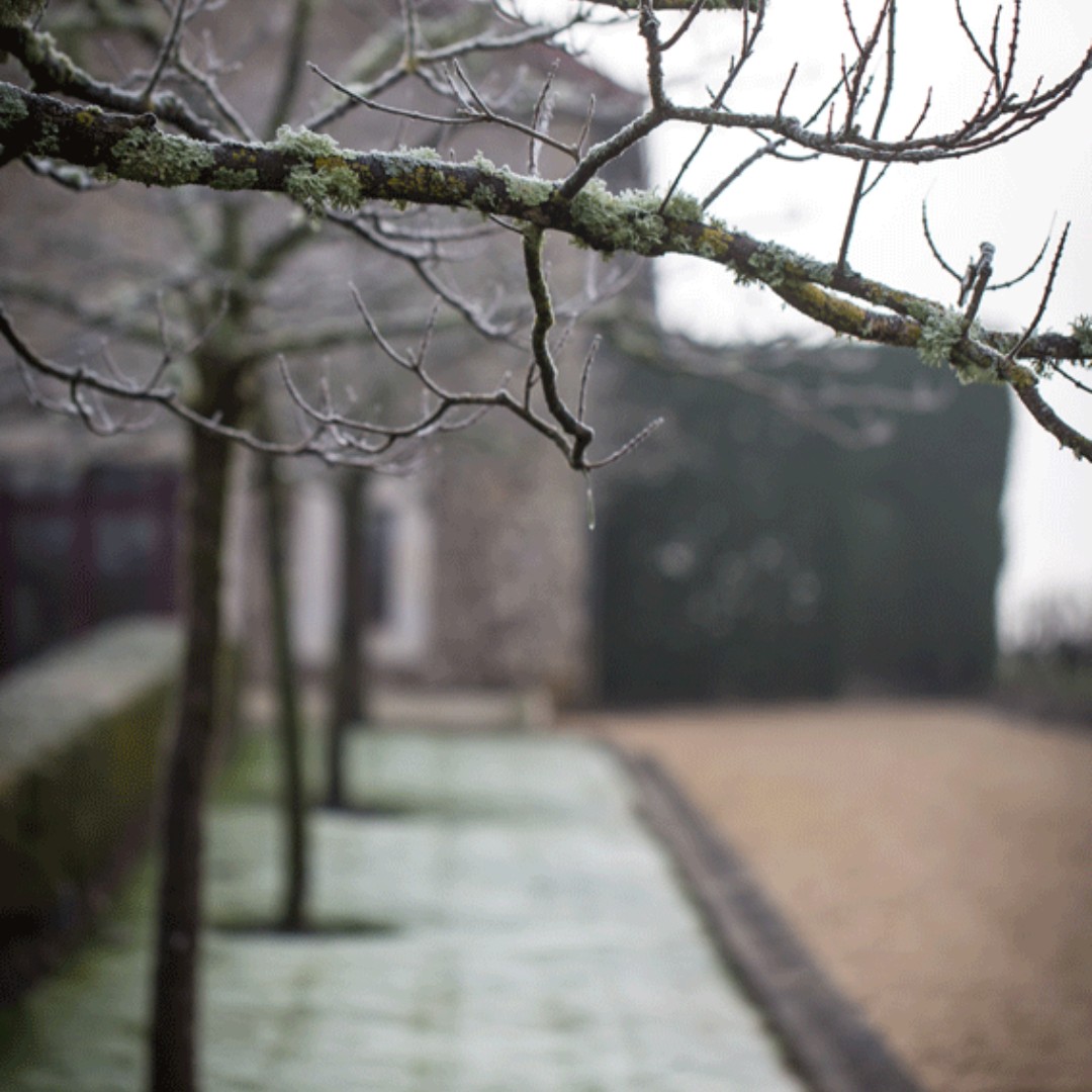 MalarticLagrav's tweet image. ❄️ We remain open throughout the winter and would be delighted to welcome you to discover our vineyard, our wines and our facilities!
Book your visit directly on our website 🔗

📷@latelierdestyle
#whitewine #endoftheyear #winelovers #malarticlagraviere