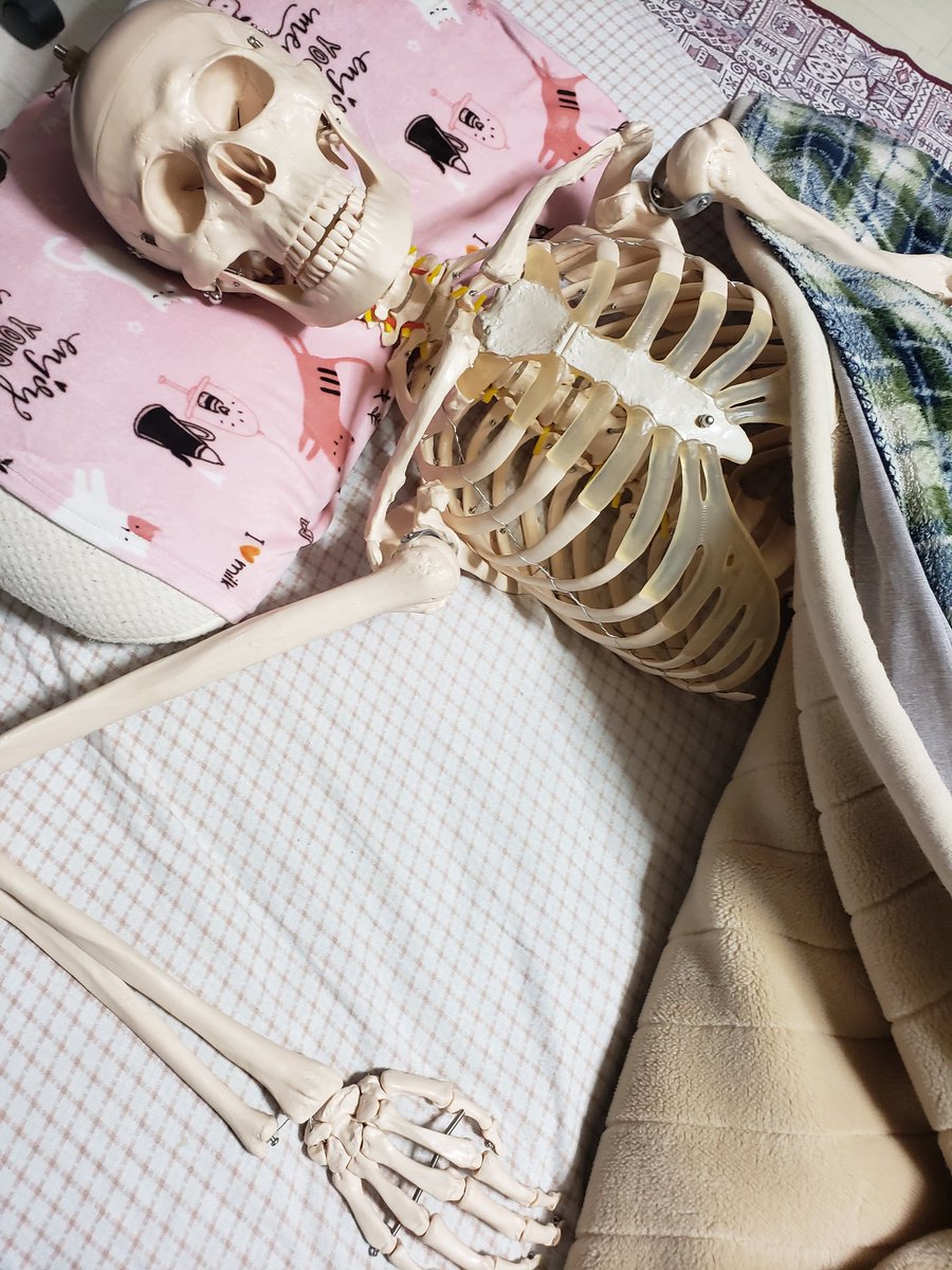 添い寝したい方向け

朝になるとほっぺたに肋骨の後がつくのが難点です