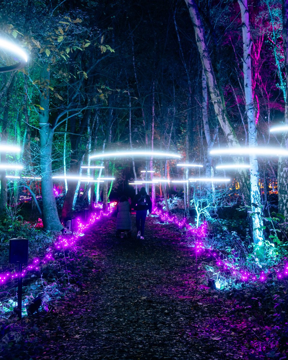 The lights are glowing, the trails are sparkling, and the magic is waiting ✨🎄

Final tickets remaining, lock in yours before they’re gone 🎟️

#WindsorIlluminated
