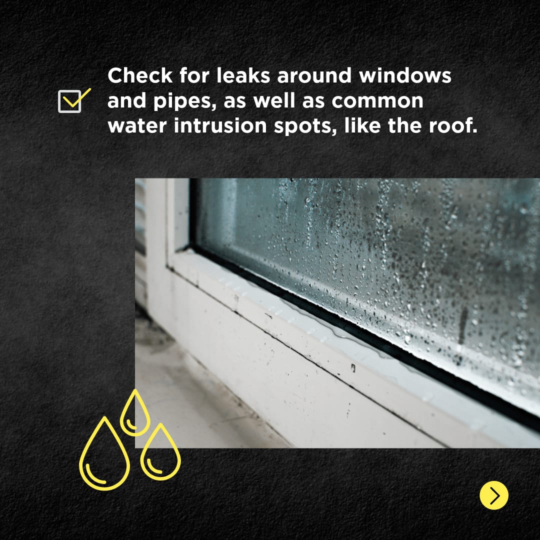 ServiceMaster by Singer tweet media