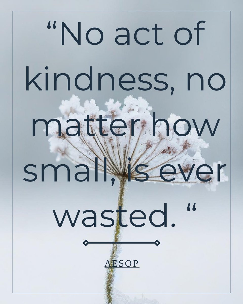 ADMIN Partners tweet media