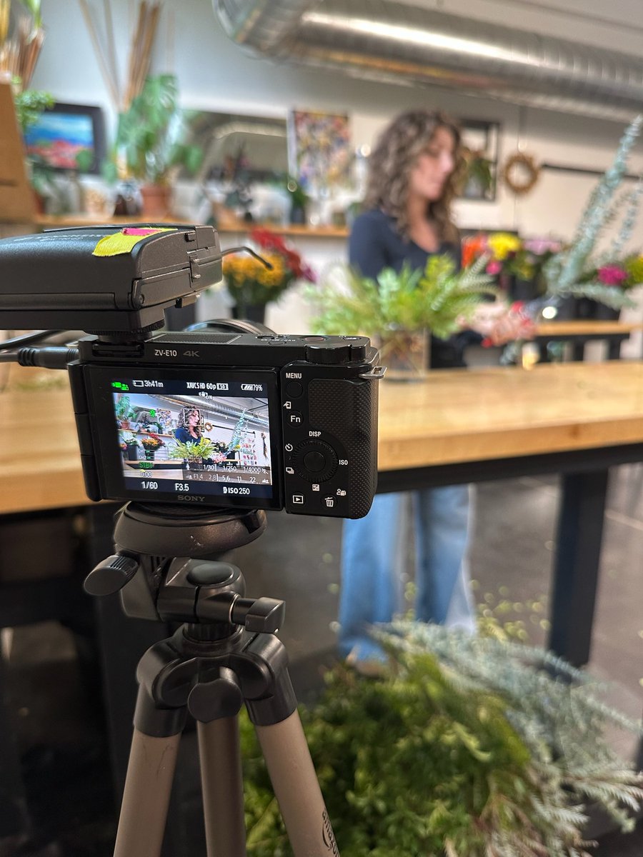 Ally Mahoney tweet media