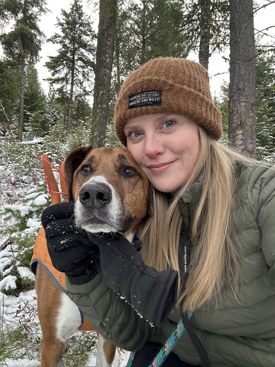 Imogene Cancellare, PhD tweet media