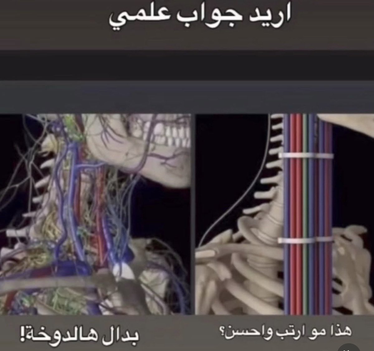 abdulrahman tweet media