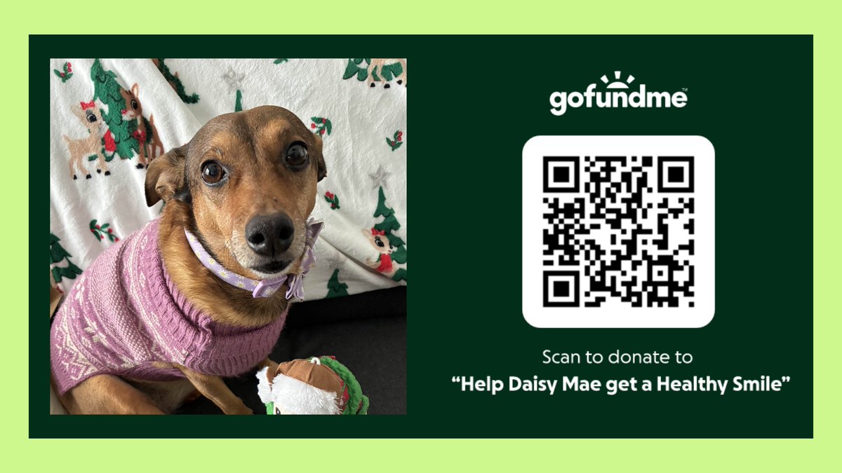 Don't normally post on here anymore, but <a href="/TheCrosser2/">Crosser H. Buck</a> and I need help. Please read the GoFundMe for all information about the situation. Any bit of donations help, or even just sharing around. 

Thank you so much 🐾❤️
INFORMATION HERE: gofund.me/853860f49